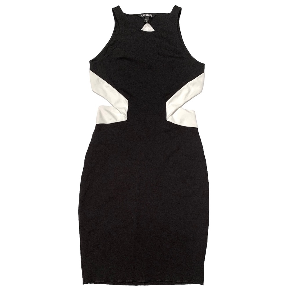 Express Backless Color Block Mini Dress